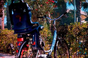Photo 40