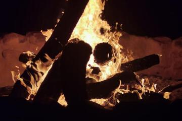 Photo 42