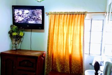 Television