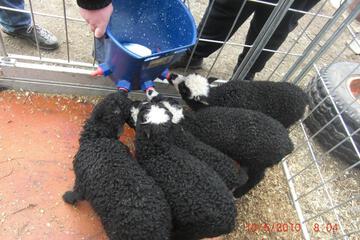 Photo 19