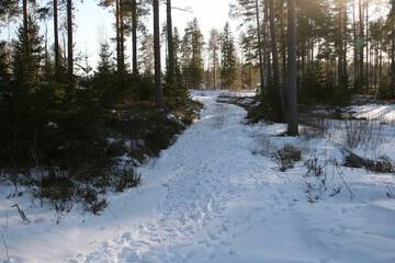 Snowshoeing