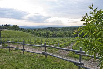 Winery