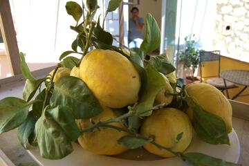 Photo 26