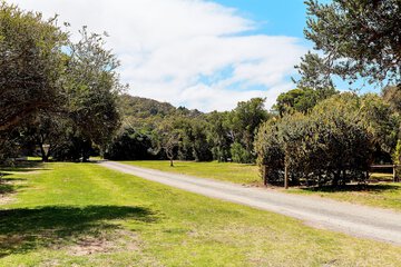 Park view