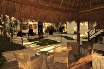 Terrace or Patio