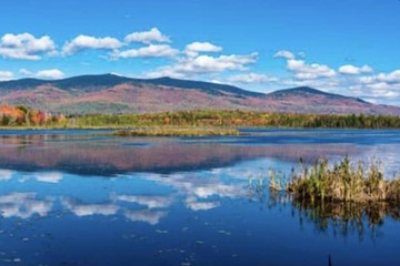 Children's activities