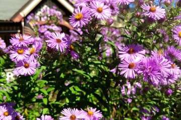 Hotel Exterior 81 of 87