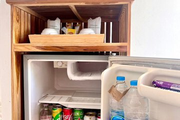 Mini-refrigerator