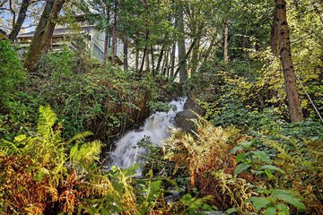 Outdoor wedding area