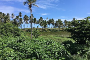 Land view from property