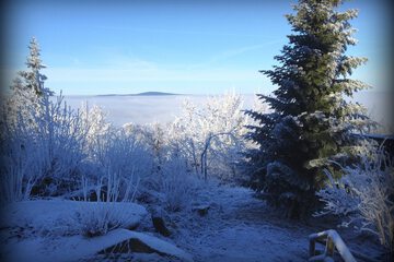 Snowshoeing