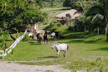 Land view from property