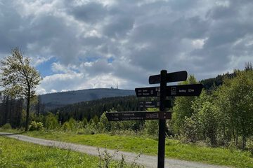 Hiking