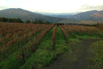 Photo 44