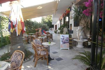 Photo 44