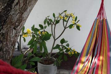 Photo 33