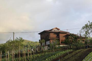 Photo 42