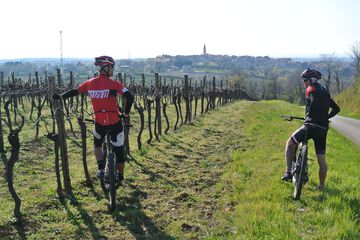 Bicycling