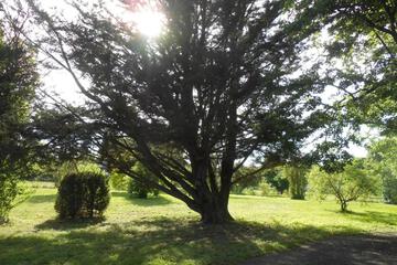 Photo 35