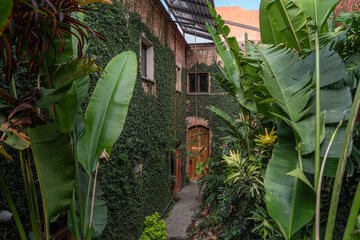 Garden view