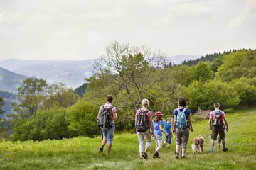 Hiking