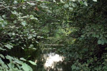Photo 33