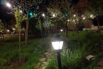 Photo 31