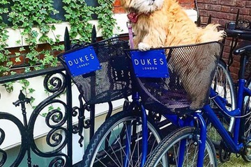 Bicycling