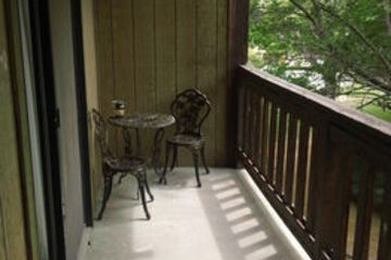Terrace or Patio
