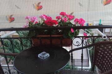 Photo 57