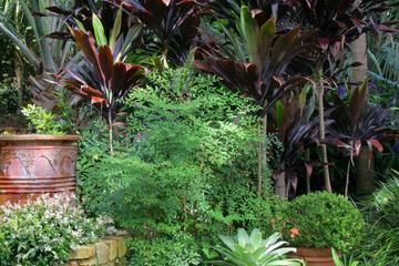 Photo 45