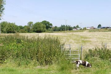 Photo 39