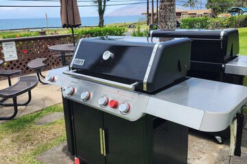 BBQ/picnic area