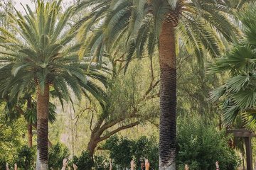 Health and Fitness 118 of 126