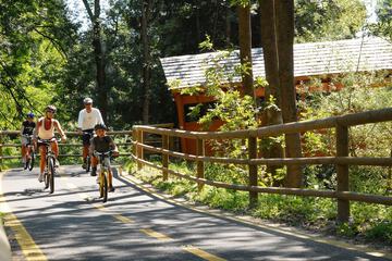 Bicycling