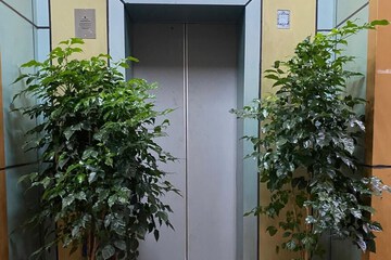 Elevator