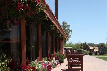 Terrace or Patio