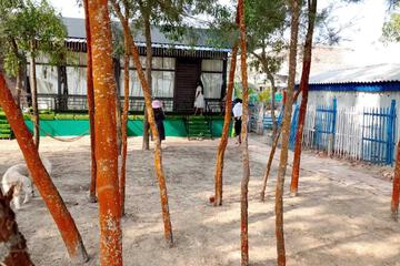 Building design