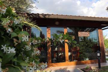 Spa reception