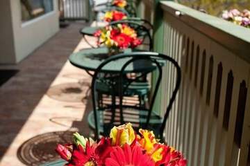 Terrace/Patio 35 of 39