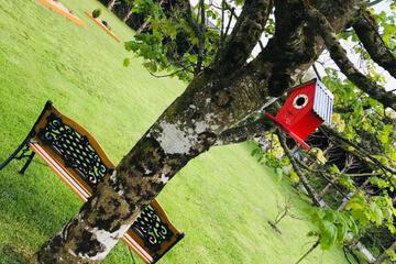 Photo 13