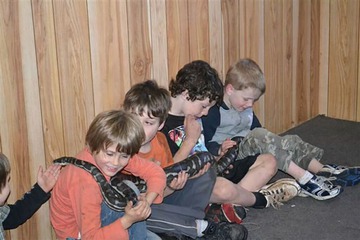 Children's activities