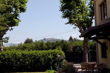 Photo 38
