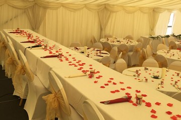 Outdoor wedding area
