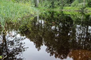 Lake view