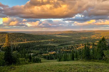 Mountain view