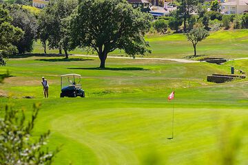 Golf view
