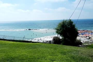 Photo 48