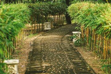 Photo 48