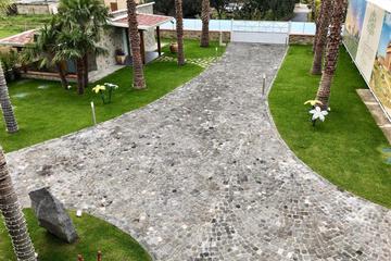Photo 47